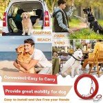 Heavy-Duty Dog Tie Out Cable and Stake