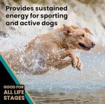 VICTOR Hi-Pro Plus High Protein Dog Food 30lbs