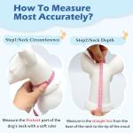 Comfortable Anti-Escape Recovery Collar for Large Dogs