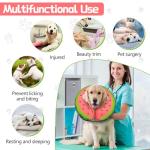 Soft Inflatable Dog Cone Collar for Recovery