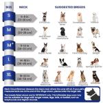 Inflatable Dog Cone for Large Breeds After Surgery