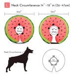 Soft Inflatable Dog Cone Collar for Recovery