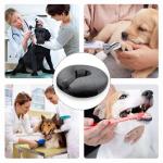 Inflatable Dog Neck Donut Collar for Recovery