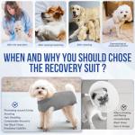 Lukovee Dog Recovery Suit, E-Collar Alternative, Grey
