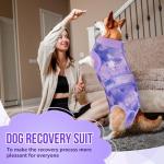 Lukovee Dog Recovery Suit, Zipper Onesie, Purple