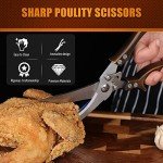 Stainless Steel Heavy Duty Poultry Shears