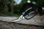 Old Timer Trail Boss Game Shears for Outdoors