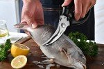 Heavy Duty Poultry Shears for Game and Meat