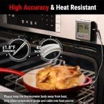 ThermoPro TP16 Large LCD Meat Thermometer and Timer