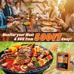 Yunbaoit Wireless Meat Thermometer with Dual Probes
