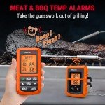 Wireless Meat Thermometer with Dual Probe – TP20