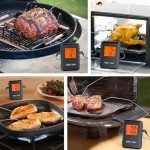 Wireless Meat Thermometer for Grilling and Smoking