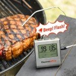 ThermoPro TP16 Large LCD Meat Thermometer and Timer