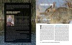 Essential Guide to Hunting and Cooking Small Game