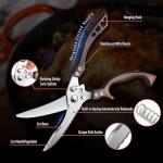Stainless Steel Heavy Duty Poultry Shears