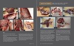 MeatEater Cookbook: Ultimate Recipes for Hunters & Anglers