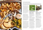 Wild Food Culinary Guide: Hunter Gather Handbook