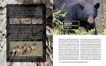 Hunting, Butchering, and Cooking Big Game Guide