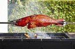 Take One Fish: Master Scale-to-Tail Cooking