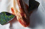 Take One Fish: Master Scale-to-Tail Cooking