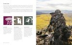 MeatEater Outdoor Cookbook: Wild Game Recipes