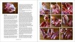 Mastering Game: Recipes for Deer, Elk, and Moose