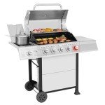 Stainless Steel 5-Burner Propane Grill for BBQ