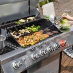 Stainless Steel 5-Burner Propane Grill for BBQ