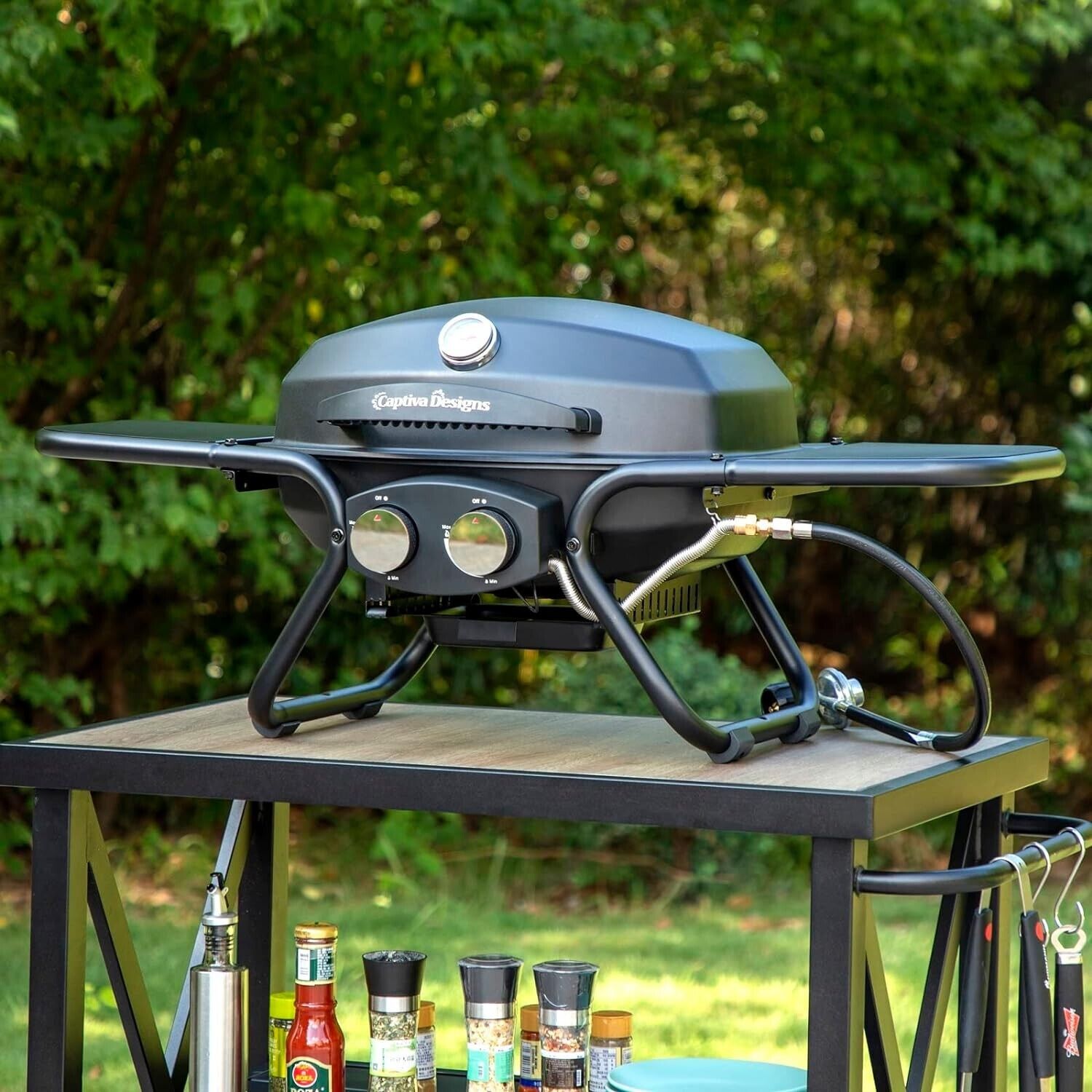 Portable 2-Burner Propane BBQ Grill for Camping