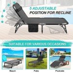 ABORON 2-Pack Adjustable Patio Chaise Lounges