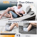 OhGeni 18" Queen Air Mattress with Built-in Pump