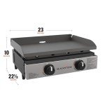 17-Inch Portable Propane Grill for Camping & Tailgating