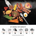 17-Inch Portable Propane Grill for Camping & Tailgating