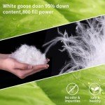 Lightweight 800 FP Down Camping Sleeping Bag