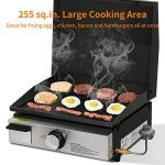 Portable 17" Propane Griddle for Outdoor Cooking