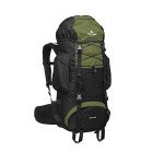 TETON Sports Scout 55 Backpack - Olive Green