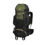 TETON Sports Scout 55 Backpack - Olive Green