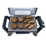 Portable Propane Gas Grill with Amplifire Technology