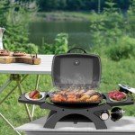 Hykolity Portable 12,000 BTU Propane BBQ Grill