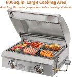 Portable 20" Gas Grill with Thermometer & Travel Locks