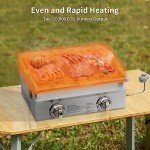 Portable 20" Gas Grill with Thermometer & Travel Locks