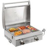 Portable 20" Gas Grill with Thermometer & Travel Locks