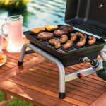 Portable 1-Burner Propane Gas Grill - Black