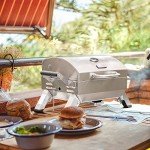 Portable Stainless Steel Propane Grill for Camping