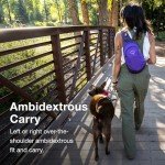 Osprey Daylite Blue Sling Bag for Camping