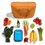 Hydro Flask 20L Insulated Tote Bag - Fossil