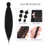 24" Jet Black Braiding Hair - 8 Packs
