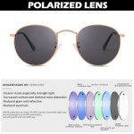 Chic Gold Frame Polarized Sunglasses for Women