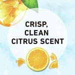 Herbal Essences Body Envy Shampoo, 29.2 oz