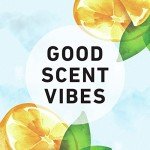 Herbal Essences Body Envy Shampoo, 29.2 oz